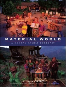 Cover for the book Material World